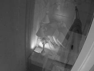 voyeurcam casa salsa bathroom 12